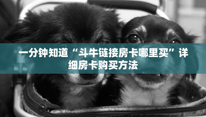 一分钟了解“斗牛房间怎么买房卡”详细获取房卡教程