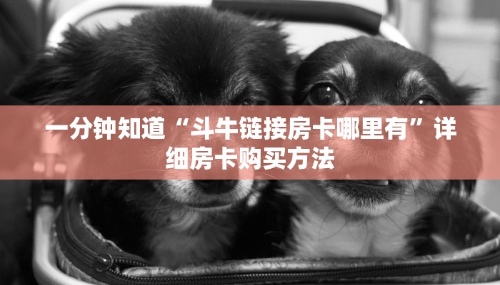 一分钟讲解“新青龙大厅牛牛金花房卡怎么购买”详细获取房卡教程