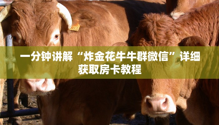 一分钟了解“金花链接房卡如何购买”详细获取房卡教程