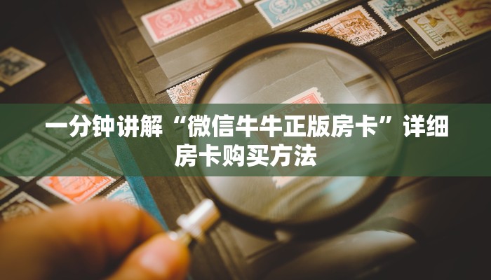 玩家必看“微信群拼三张新海米”详细房卡怎么购买教程