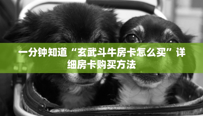 一分钟知道“玄武斗牛房卡怎么买”详细房卡购买方法