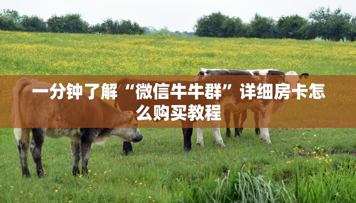 一分钟讲解“牛牛链接房卡找谁购买”详细房卡购买方法