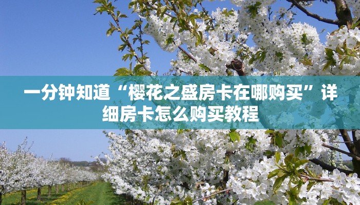 一分钟知道“樱花之盛房卡在哪购买”详细房卡怎么购买教程