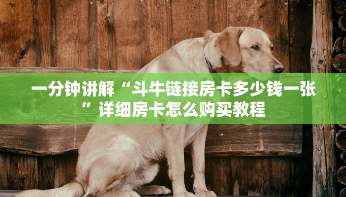 一分钟了解“皇豪互众房卡哪里买”详细哪里获取房卡教程