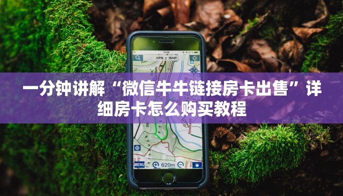 一分钟讲解“微信牛牛链接房卡出售”详细房卡怎么购买教程
