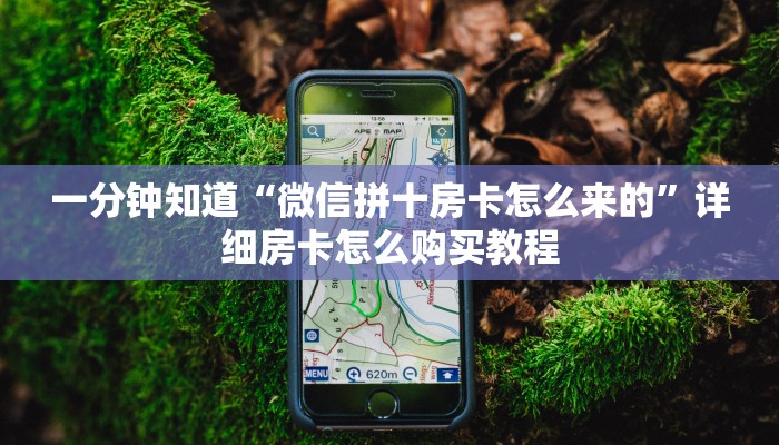 一分钟知道“微信拼十房卡怎么来的”详细房卡怎么购买教程