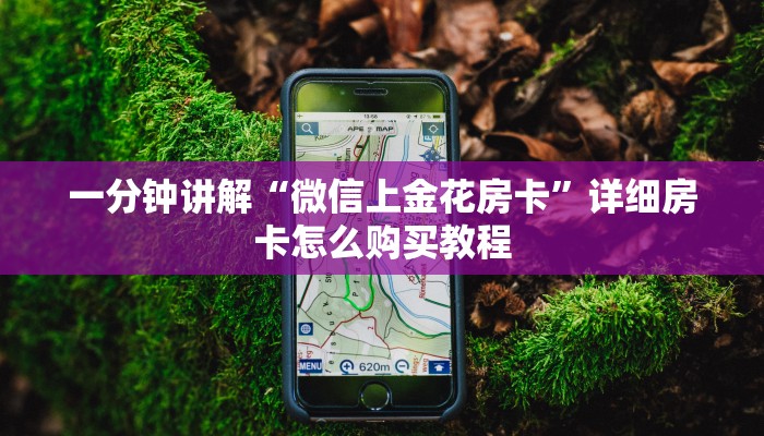 一分钟讲解“微信上金花房卡”详细房卡怎么购买教程