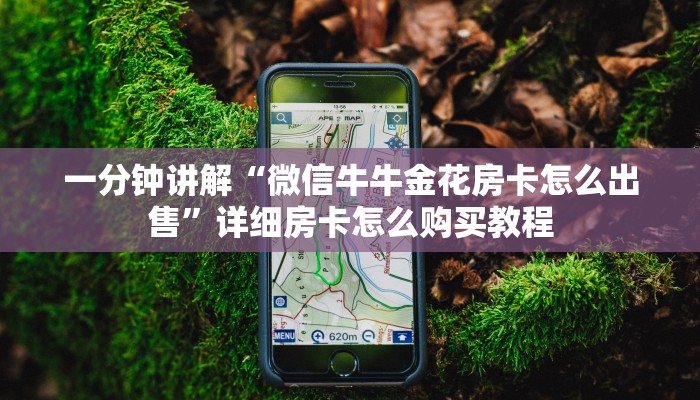 一分钟讲解“微信牛牛金花房卡怎么出售”详细房卡怎么购买教程