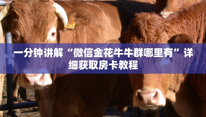 一分钟讲解“微信金花牛牛群哪里有”详细获取房卡教程