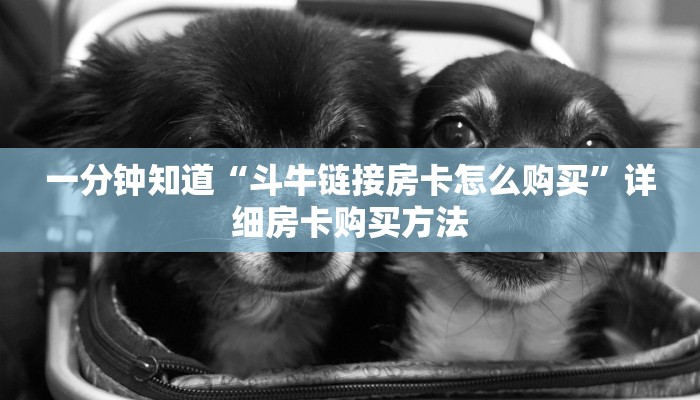 一分钟知道“斗牛链接房卡怎么购买”详细房卡购买方法