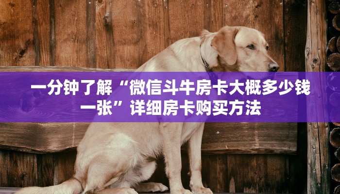 玩家必看“新天道金花房卡”详细哪里获取房卡教程 玩家必看“新天道金花房卡”详细哪里获取房卡教程