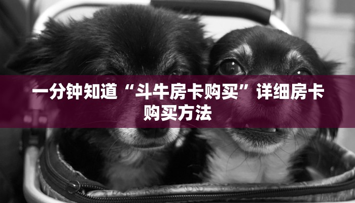 一分钟知道“斗牛房卡购买”详细房卡购买方法