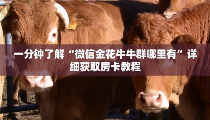 一分钟了解“微信金花牛牛群哪里有”详细获取房卡教程