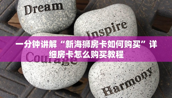 一分钟讲解“新海狮房卡如何购买”详细房卡怎么购买教程