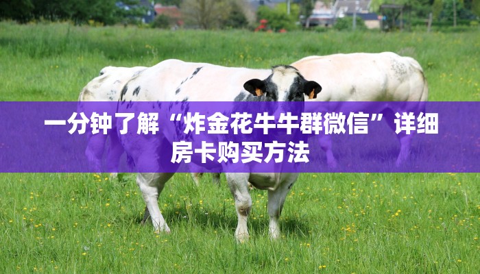 一分钟了解“炸金花牛牛群微信”详细房卡购买方法