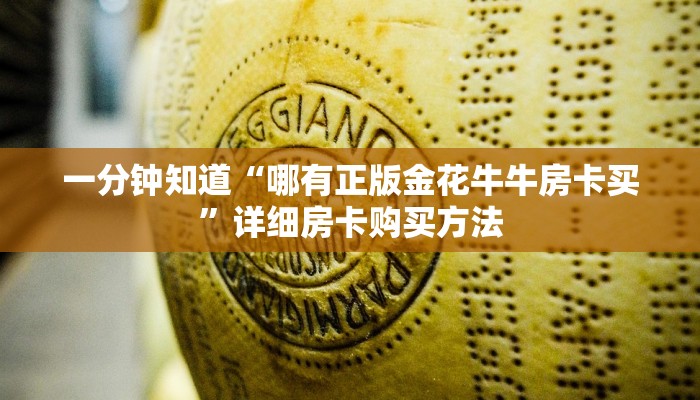 一分钟讲解“先锋大厅怎么买房卡”详细房卡怎么购买教程