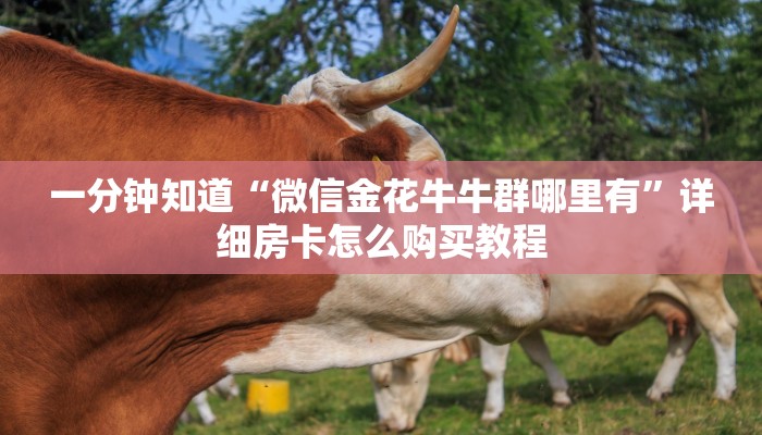 一分钟知道“微信金花牛牛群哪里有”详细房卡怎么购买教程