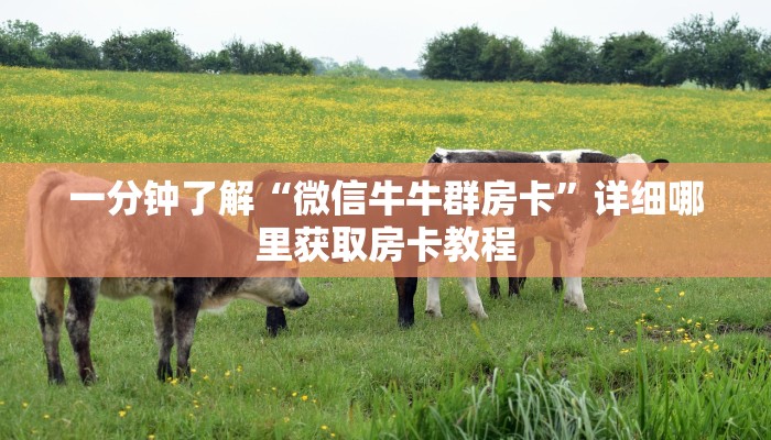 一分钟了解“微信链接炸金花房卡怎么”详细哪里获取房卡教程 一分钟了解“微信链接炸金花房卡怎么”详细哪里获取房卡教程
