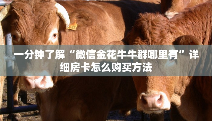 玩家必看“牛牛房间房卡如何充值”详细房卡怎么购买方法