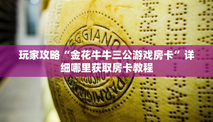 玩家攻略“金花牛牛三公游戏房卡”详细哪里获取房卡教程 玩家攻略“金花牛牛三公游戏房卡”详细哪里获取房卡教程