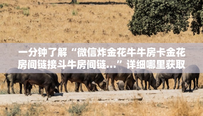 一分钟了解“微信炸金花牛牛房卡金花房间链接斗牛房间链…”详细哪里获取房卡教程