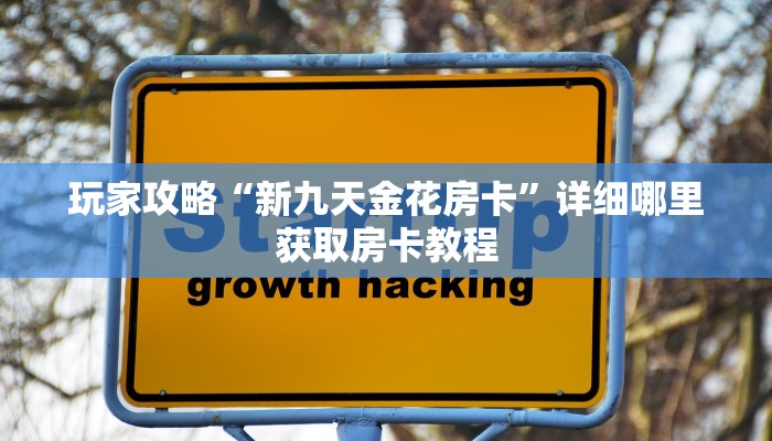 玩家攻略“新九天金花房卡”详细哪里获取房卡教程