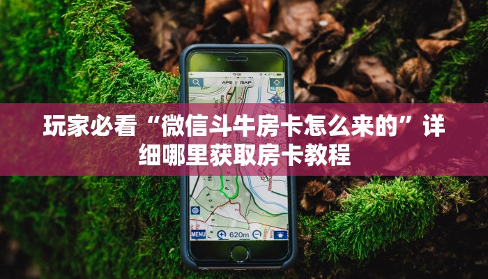 玩家必看“微信斗牛房卡怎么来的”详细哪里获取房卡教程