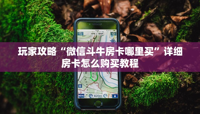 玩家攻略“微信斗牛房卡哪里买”详细房卡怎么购买教程