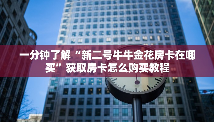 一分钟了解“新二号牛牛金花房卡在哪买”获取房卡怎么购买教程