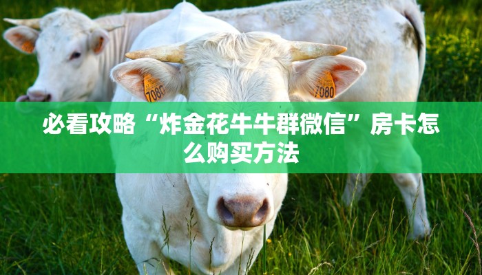必看攻略“炸金花牛牛群微信”房卡怎么购买方法 必看攻略“炸金花牛牛群微信”房卡怎么购买方法