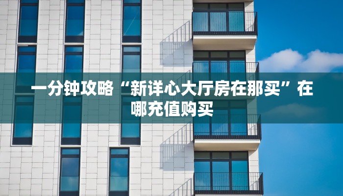 一分钟攻略“新详心大厅房在那买”在哪充值购买