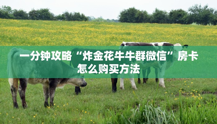 一分钟攻略“炸金花牛牛群微信”房卡怎么购买方法