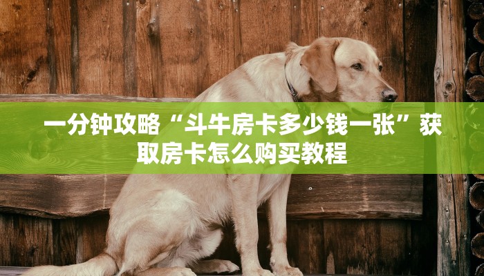 玩家必看“微信群炸金花房卡联系方法”教程房卡分享