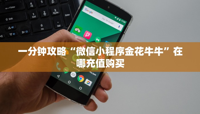 一分钟攻略“微信小程序金花牛牛”在哪充值购买