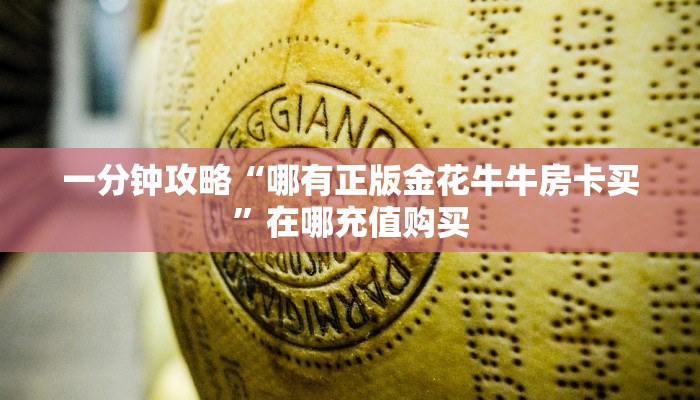 一分钟攻略“哪有正版金花牛牛房卡买”在哪充值购买