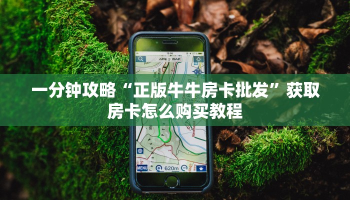 一分钟攻略“正版牛牛房卡批发”获取房卡怎么购买教程 一分钟攻略“正版牛牛房卡批发”获取房卡怎么购买教程