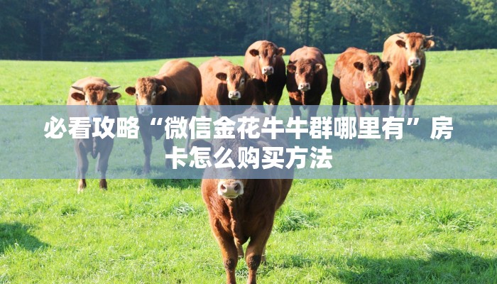 必看攻略“微信金花牛牛群哪里有”房卡怎么购买方法