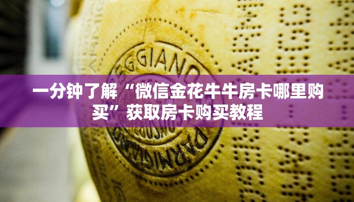 一分钟了解“微信金花牛牛房卡哪里购买”获取房卡购买教程 一分钟了解“微信金花牛牛房卡哪里购买”获取房卡购买教程