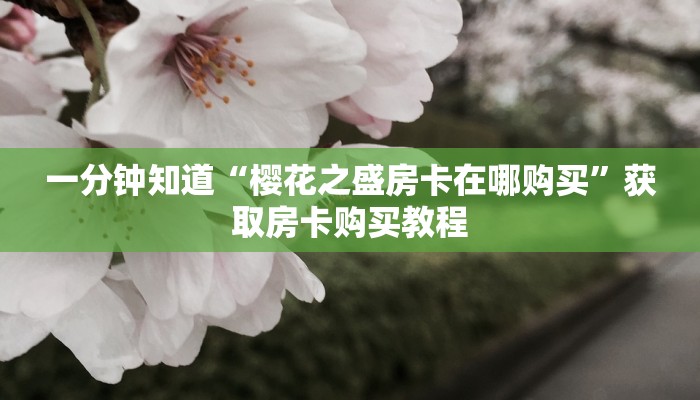 一分钟知道“樱花之盛房卡在哪购买”获取房卡购买教程