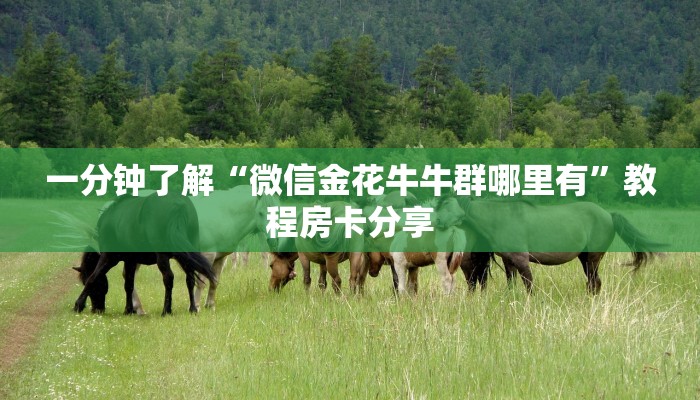 一分钟了解“微信金花牛牛群哪里有”教程房卡分享