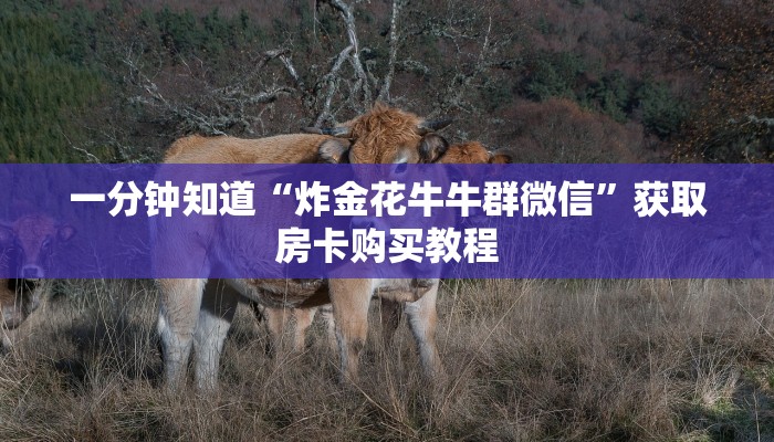 一分钟知道“炸金花牛牛群微信”获取房卡购买教程 一分钟知道“炸金花牛牛群微信”获取房卡购买教程