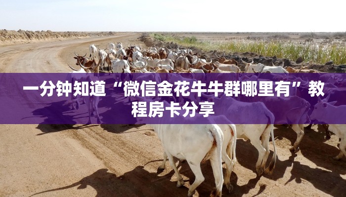 一分钟知道“微信金花牛牛群哪里有”教程房卡分享