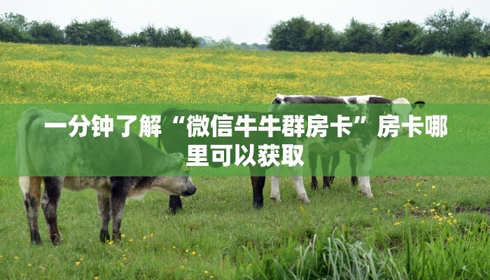 一分钟了解“微信牛牛群房卡”房卡哪里可以获取