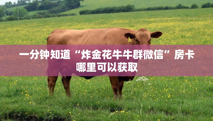 一分钟知道“炸金花牛牛群微信”房卡哪里可以获取