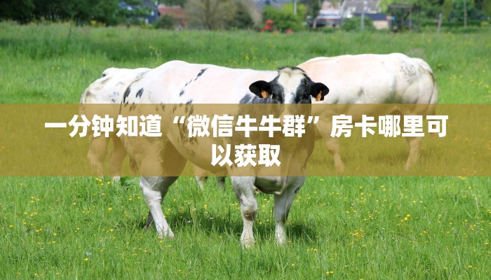 一分钟知道“微信牛牛群”房卡哪里可以获取