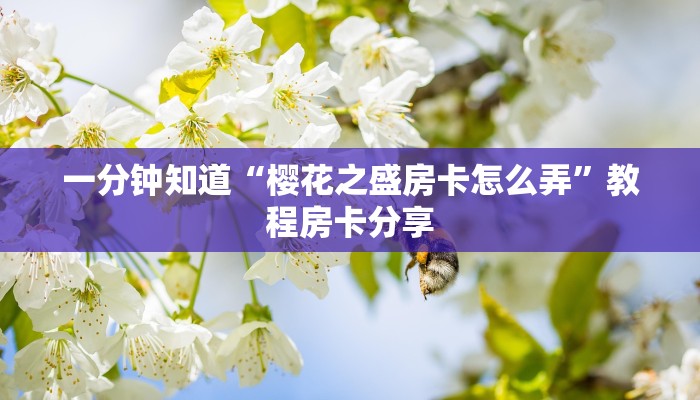 一分钟知道“樱花之盛房卡怎么弄”教程房卡分享