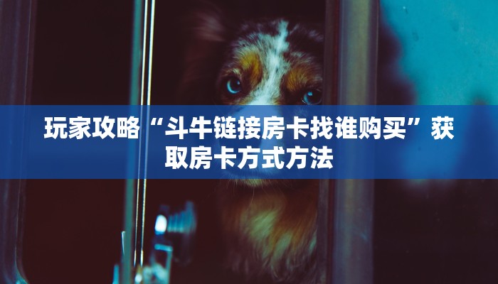 一分钟讲解“微信牛牛房间房卡哪里买的”详细获取房卡方式