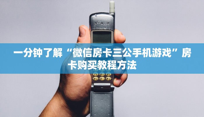 一分钟了解“微信房卡三公手机游戏”房卡购买教程方法 一分钟了解“微信房卡三公手机游戏”房卡购买教程方法