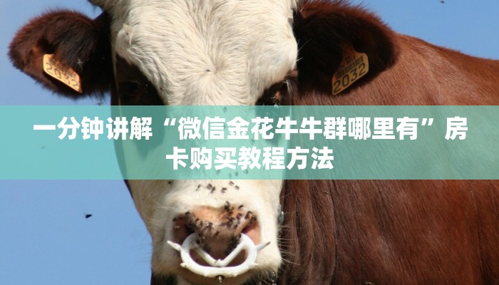 一分钟讲解“微信金花牛牛群哪里有”房卡购买教程方法