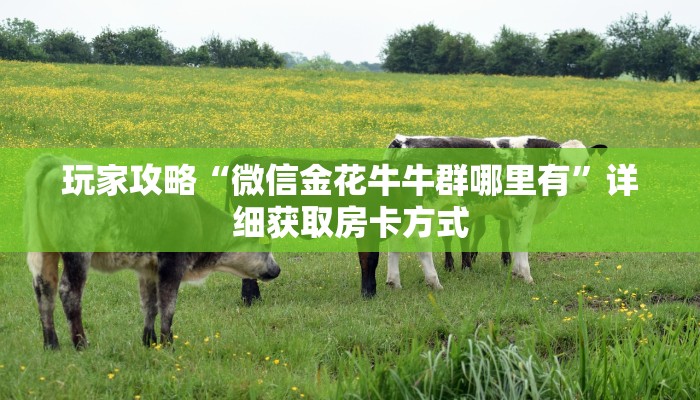 玩家攻略“微信金花牛牛群哪里有”详细获取房卡方式